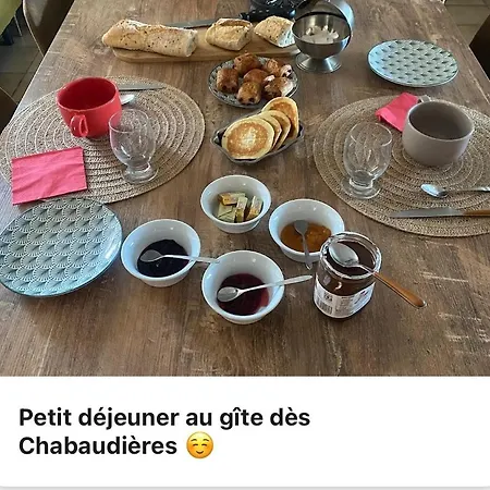 펜션 Des Chabaudieres Chaneins